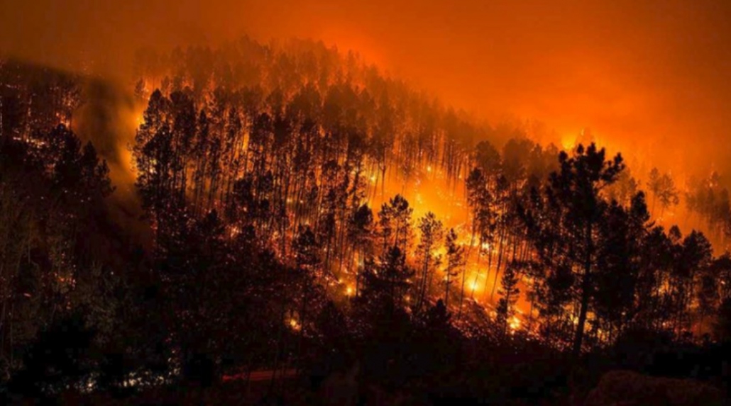Mais de 700 bombeiros combatem incêndio em Portugal