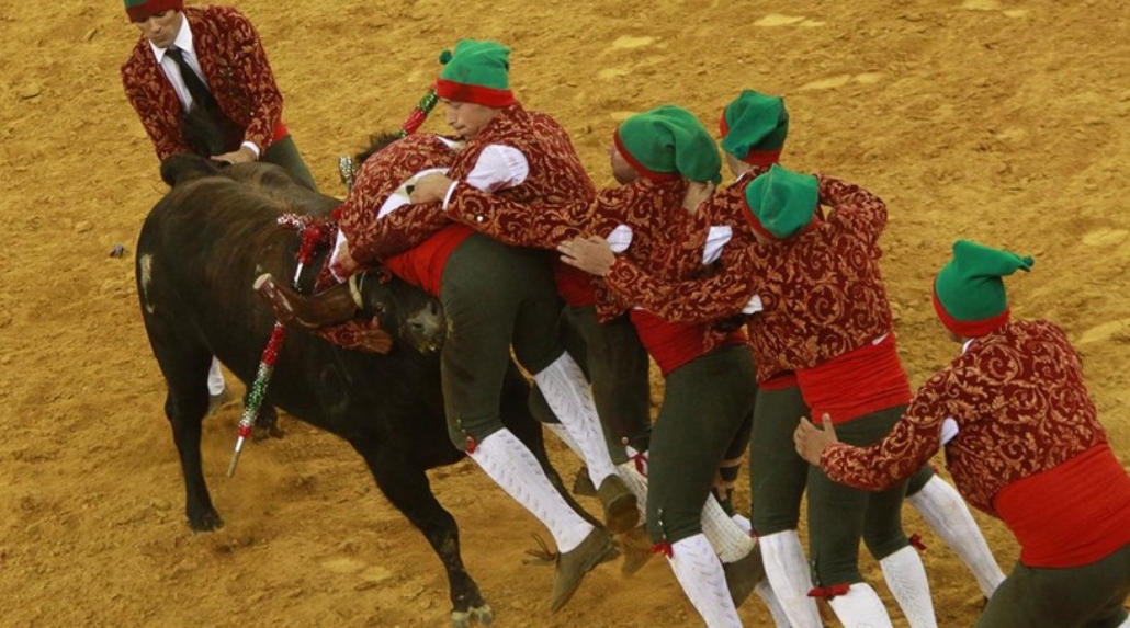 Redução do imposto que incide sobre o ingresso de touradas divide a sociedade de Portugal