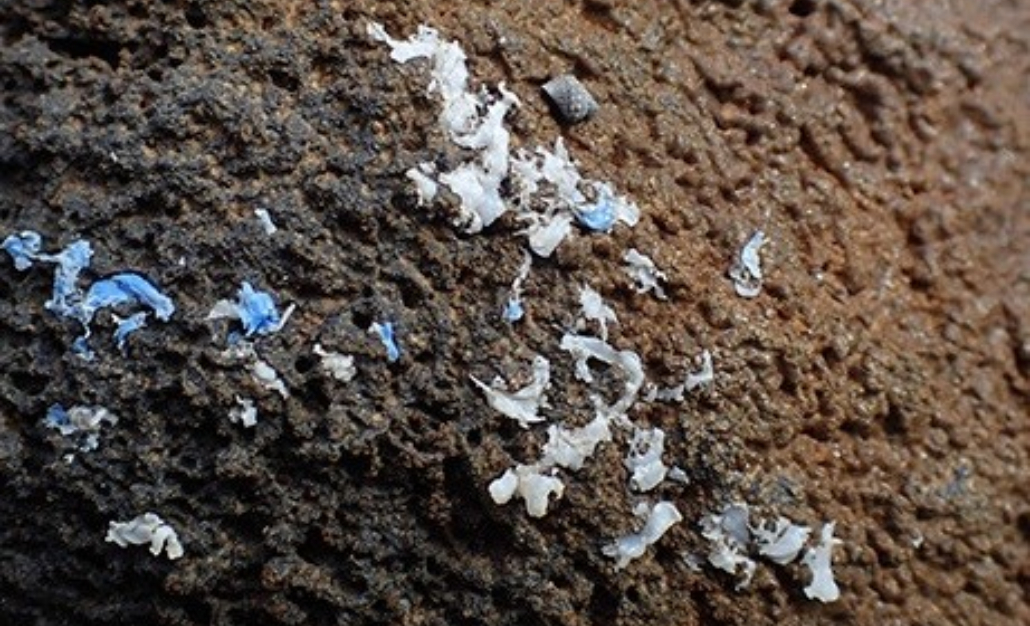 Novo tipo de poluição por plástico é descoberto na Ilha da Madeira