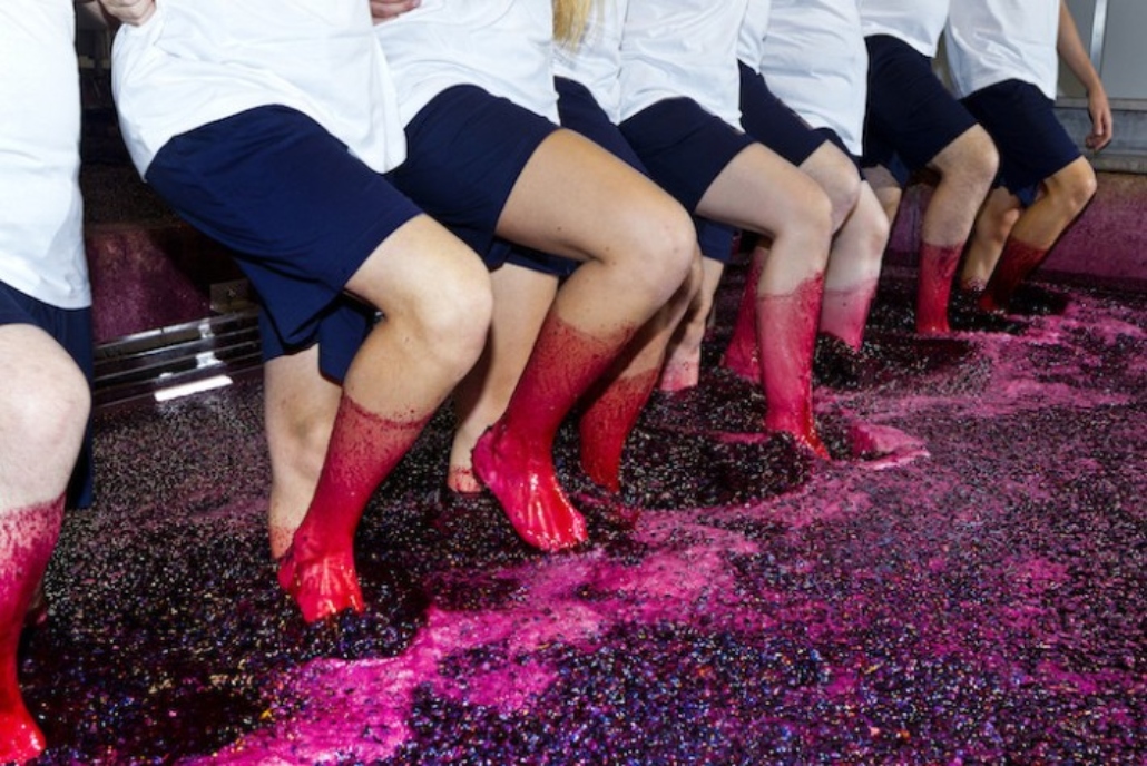 Vindimas: a arte de pisar as uvas que faz bem para o corpo e para a mente