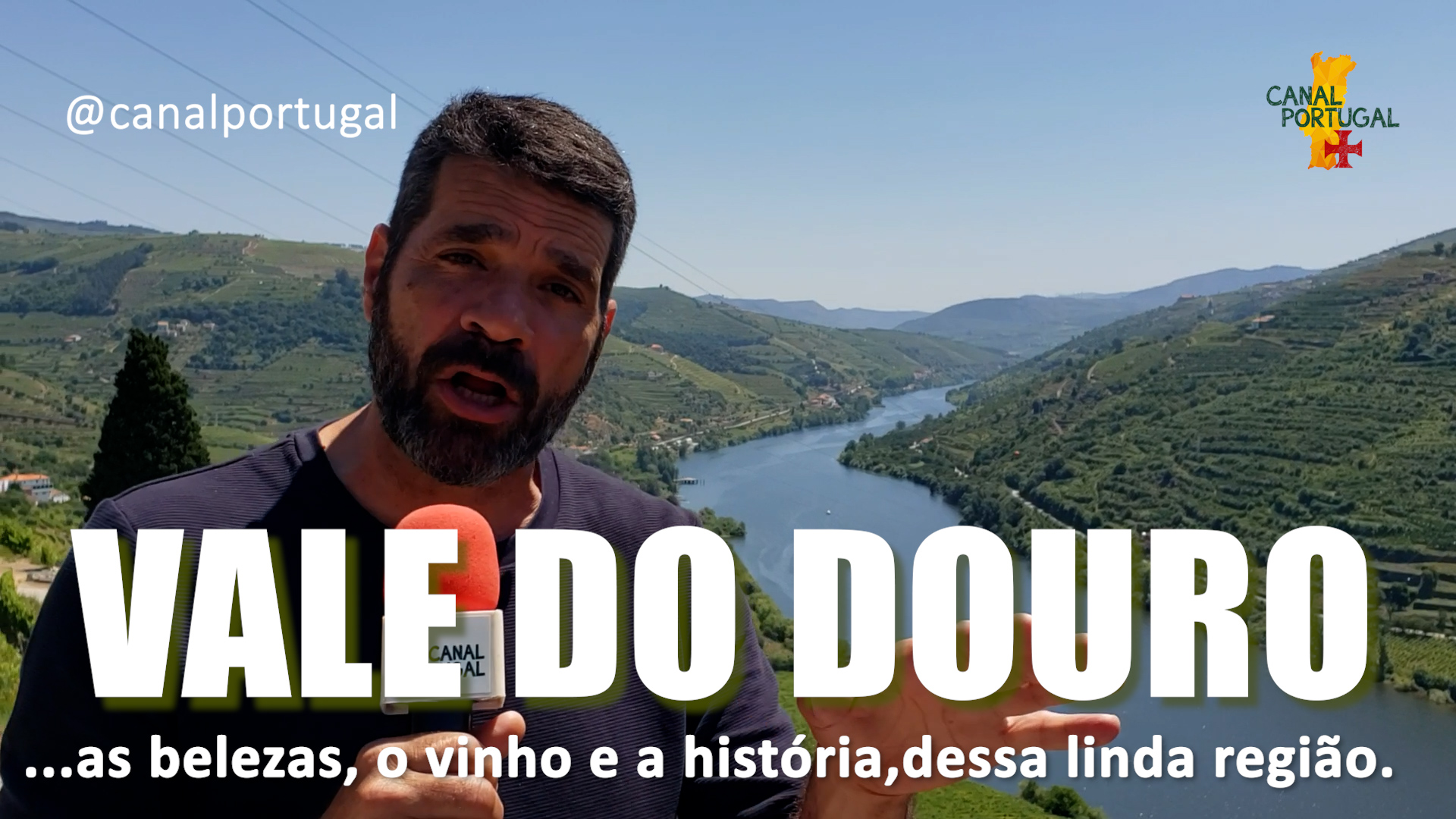 Conheça o Vale do Douro, casa dos maiores vinhos de Portugal !!!